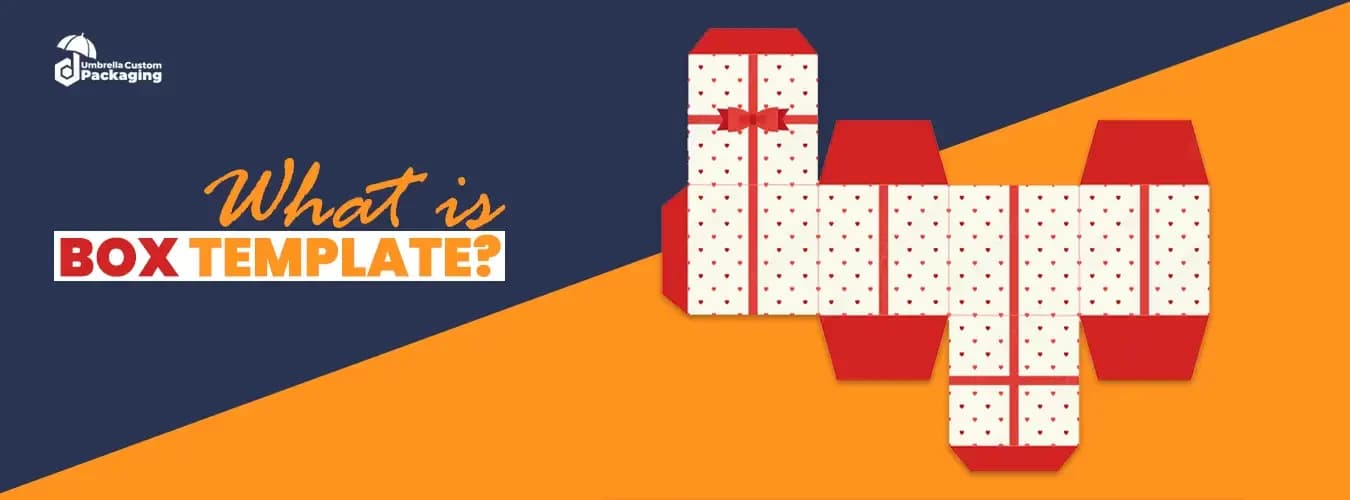 An informative graphic illustrating the concept and components of a box template in design and packaging