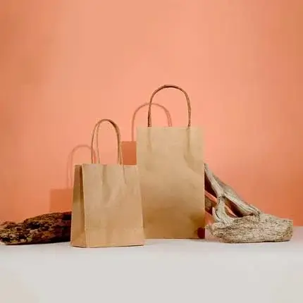 Brown Paper Bags
