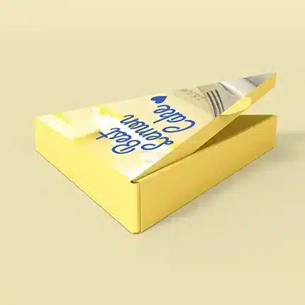 Cake Slice Box