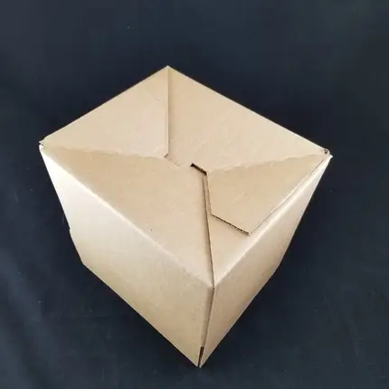 Cardboard Auto Lock Box