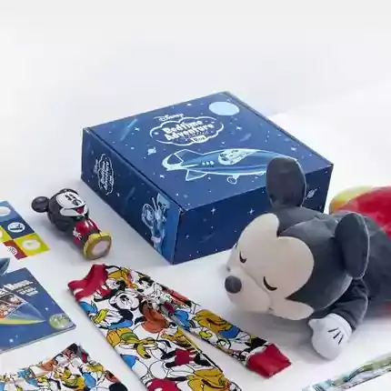 Custom Disney Subsription Boxes