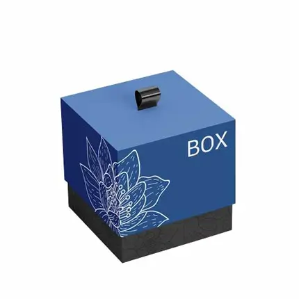 Custom Printed Two Piece Box