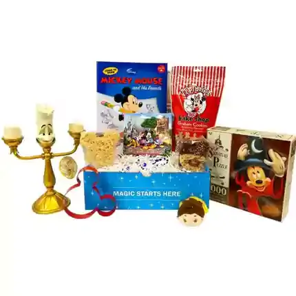Disney Subsription Boxes Wholesale