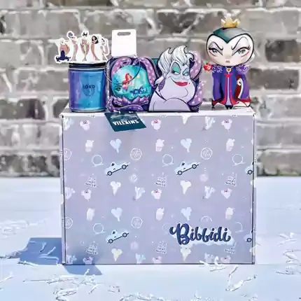 Disney Subsription Packaging Boxes
