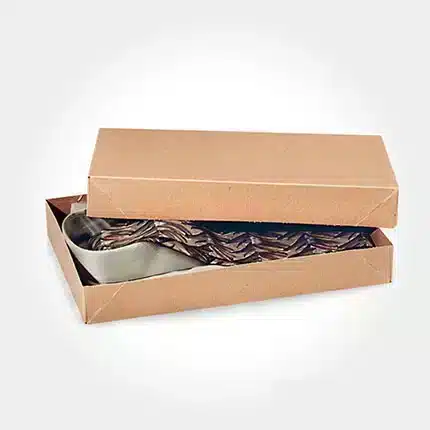 Kraft Apparel Box