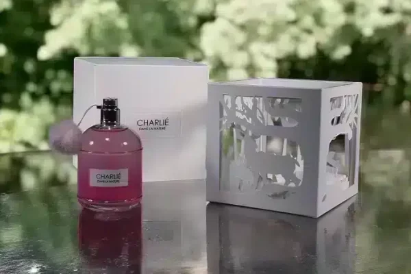 Custom packaging example