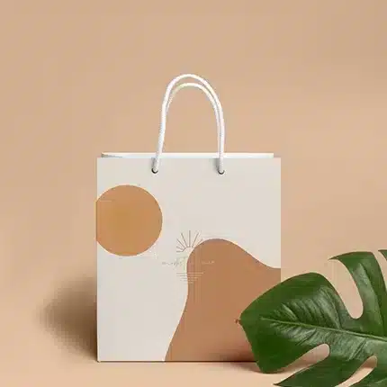 Paper Bags With Handle