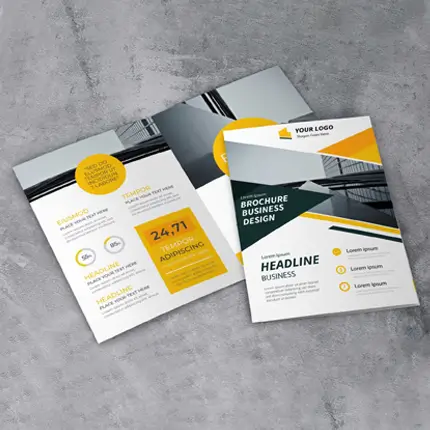 Paper Brochure