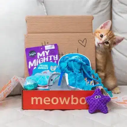 Pet Subscription Boxes