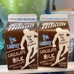 Chocolate Milk Packaging Boxes