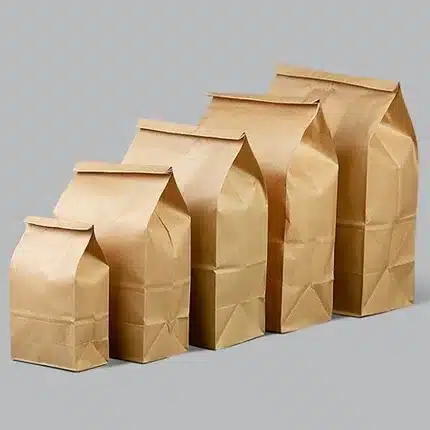 Paper Food Bags