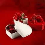 Valentines-Day-Boxes