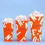 Custom Printed Popcorn Boxes