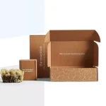 PR Corrugated Packaging Boxes