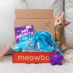 Pet subscription Boxes