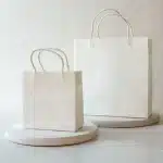 Paper Shopping Bags