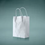 White Paper Bags