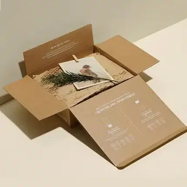 Biodegradable Apparel Boxes