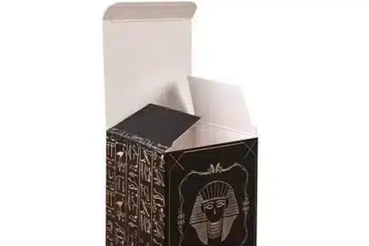 Cardboard Auto Lock Boxes