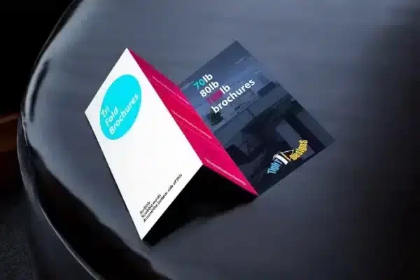 Cardboard Brochure Holder