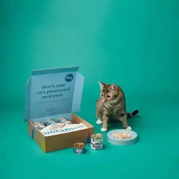 Cat Food Boxes