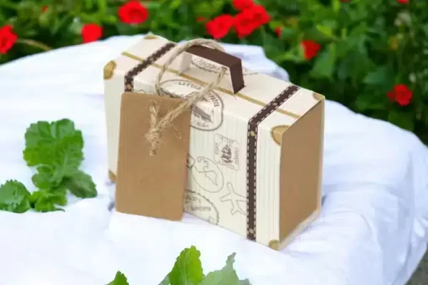 Custom Suitcase Packaging Boxes