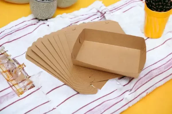 Kraft Trays Boxes