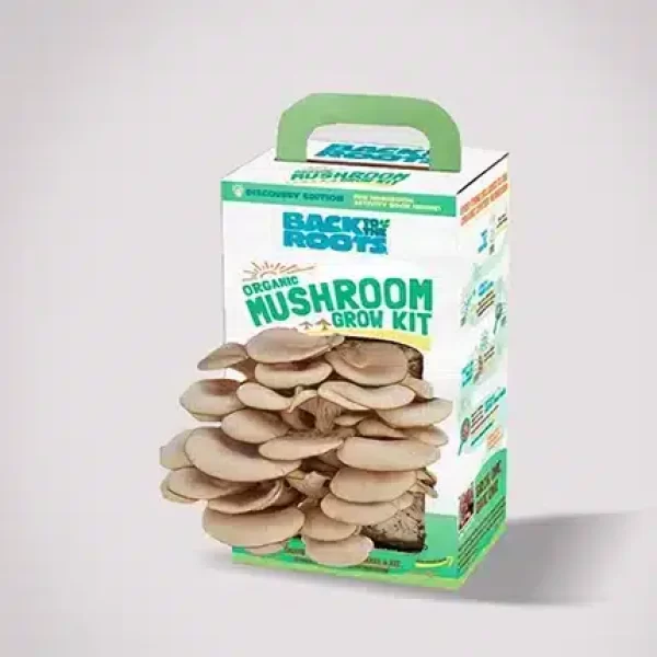 Mushroom Boxes