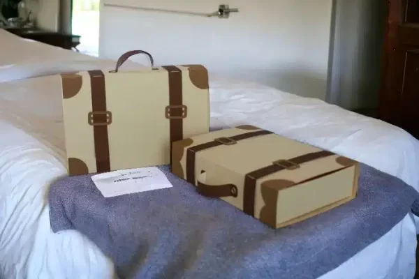 Suitcase Boxes