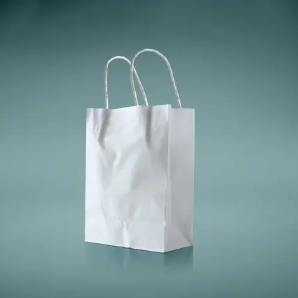 White Paper Bags