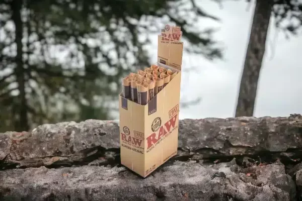 cardboard Pre Roll Boxes